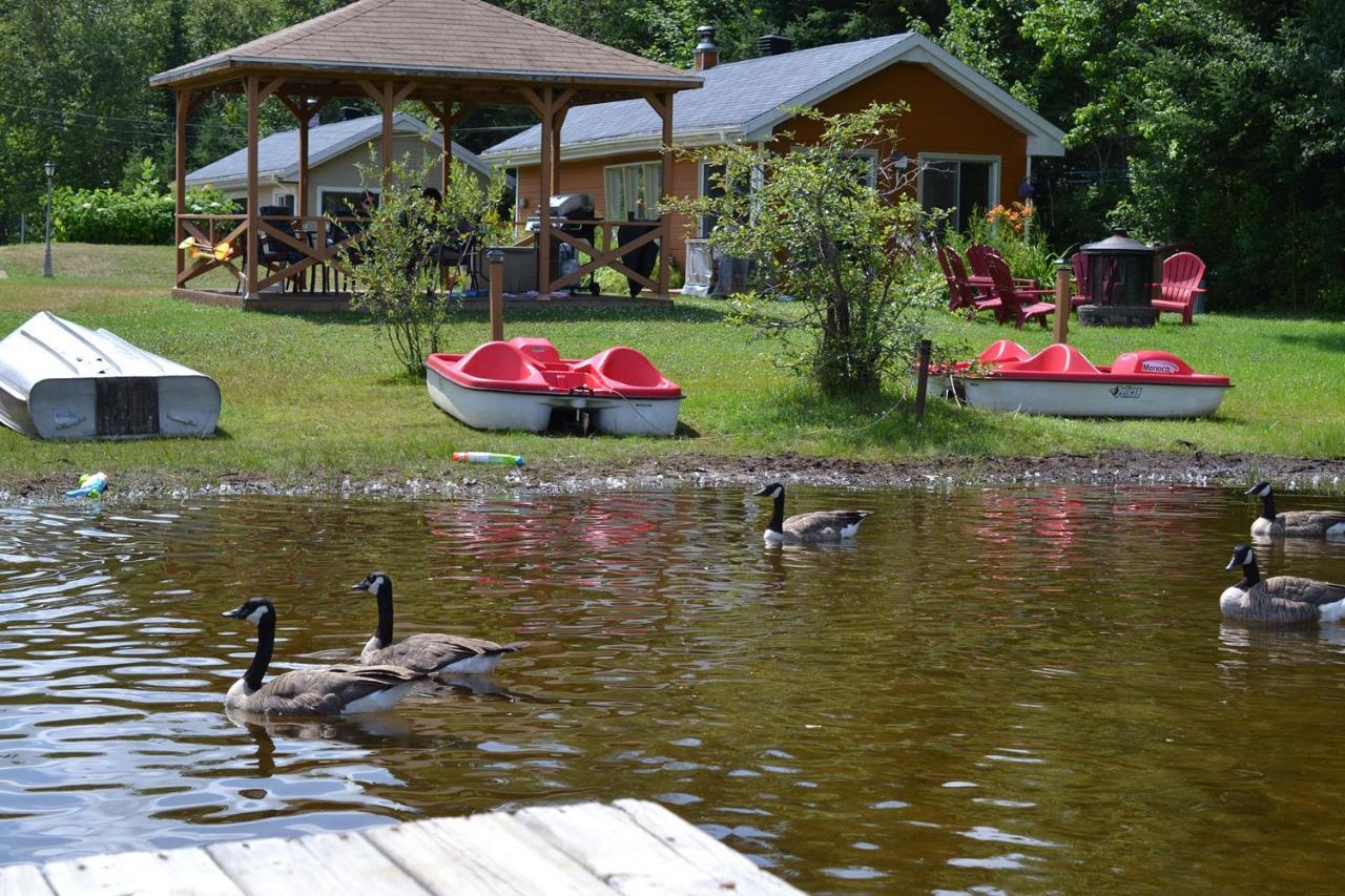 Les 4 Chalets - Le 605 Lac-Saint-Paul Eksteriør bilde